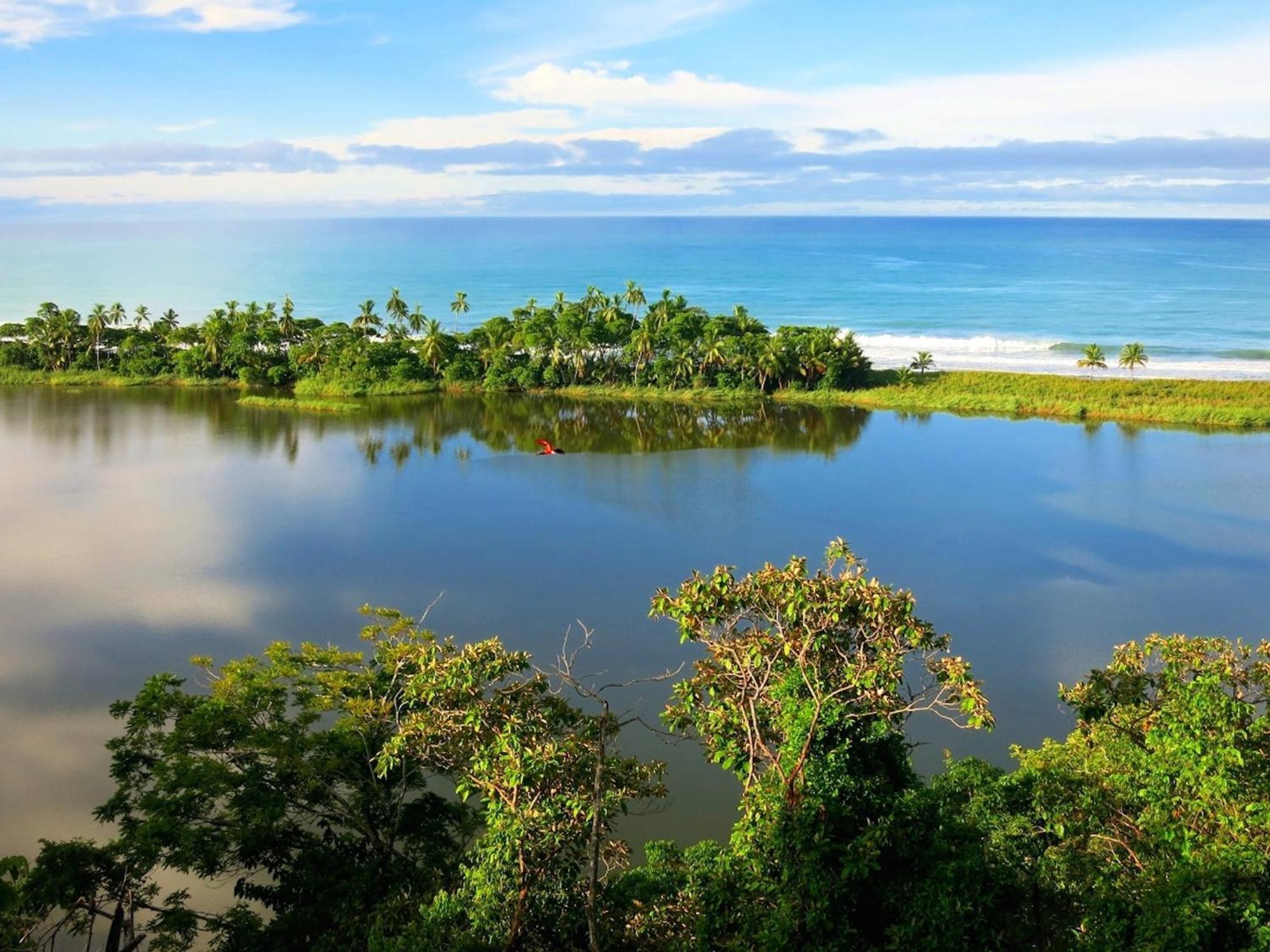 Lagunavista Villas Carate Eksteriør bilde